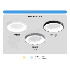 Потолочный светодиодный светильник Ambrella light FZ1402 GR серый IP20 48W 3000K-6500K D500*50 (ПДУ ИК)
