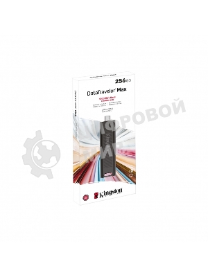 Флешка USB Kingston DataTraveler Max (DTMAX/256GB), 256Gb, USB 3.2 Gen 2 Type-C, R/W 1000/900, черный