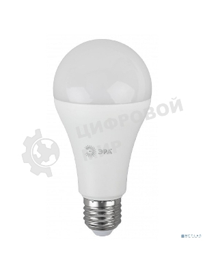 Лампа светодиодная ECO LED A65-25W-840-E27 R (диод груша 25Вт нейтр. E27) (10/100/1200) Эра Б0048010