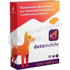 Программное обеспечение Неискл. право на исп-ие DataMobile версия Стандарт подп.1г. (DM12M)