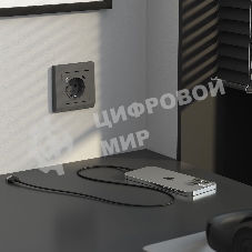 Розетка с заземлением, шторками и USB тип A+C  (графит матовый)