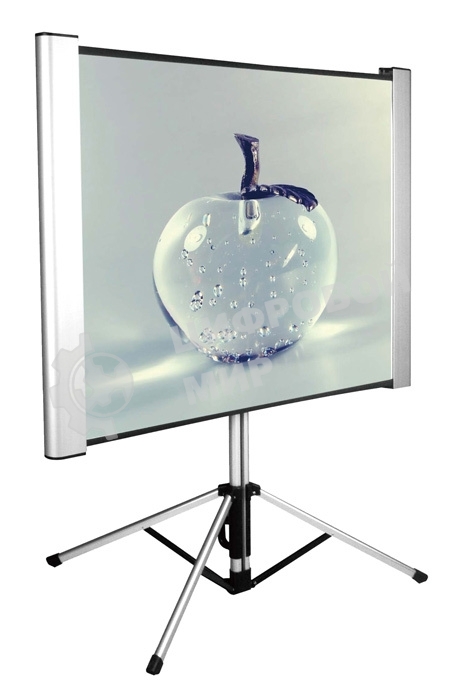 Экран Cactus 102x180 см TriAlExpert CS-PSTALE-180X102 16:9 напольный рулонный