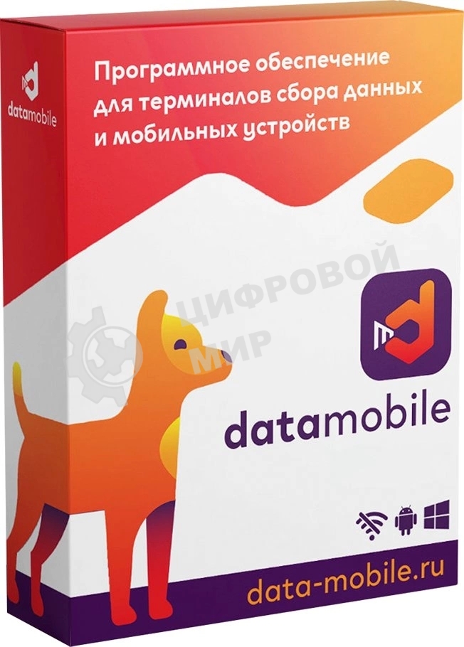 Программное обеспечение Неискл. право на исп-ие DataMobile версия Стандарт LifeTime (DM)