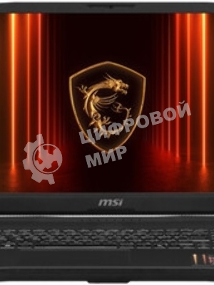 Ноутбук MSI Katana 17 HX B14WFK-275XRU Intel Core i5-14450HX/32Gb/SSD1Tb/RTX5060 8Gb/17.3