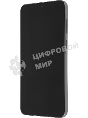 Смартфон Samsung Galaxy A57 5G SM-A576B 8/128Gb серый