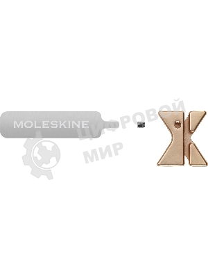 Шильд-символ Moleskine Zodiac Рыбы, металл, золотистый, коробка с европодвесом, PINPISCESGOLD