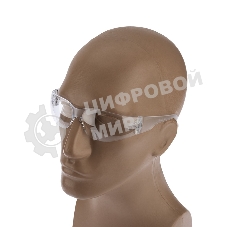 Очки защитные открытые RZ-15 START (PС)