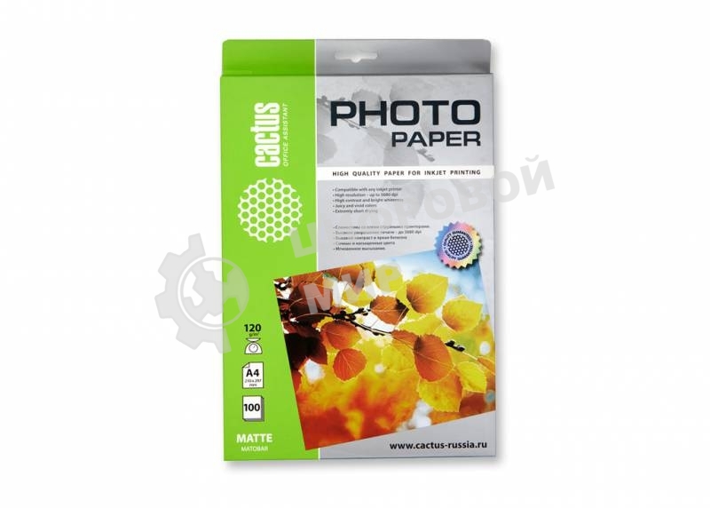 Фотобумага Cactus CS-MA4120100 A4/120г/м2/100л. матовая для струйной печати