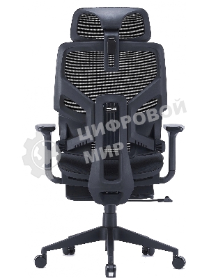 Кресло Cactus CS-CHR-MC01-BK черный, сетка, подголовник