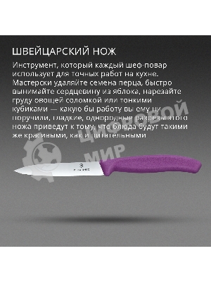 Нож кухонный Victorinox Swiss Classic (6.7705.C1) для овощей лезв. 100 мм прямая заточка пурпурный