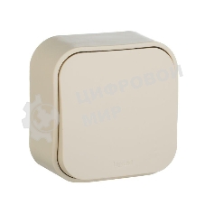 Выключатель 10A 1-клав., сл. кость Quteo