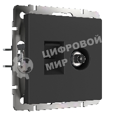 Розетка ТВ+Ethernet RJ-45 6 cat.(черный матовый)