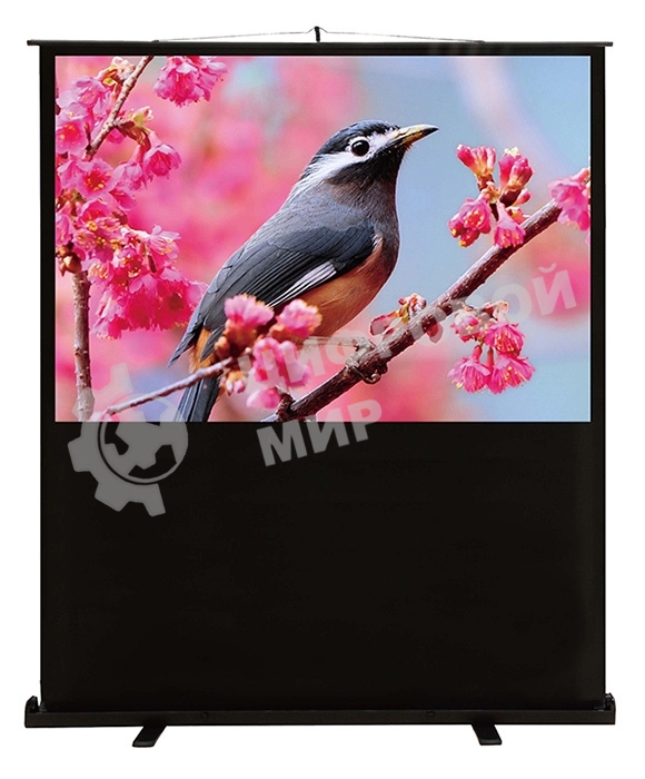 Экран Cactus 90x120 см FloorCompactExpert CS-PSFLCE-120X90 4:3 напольный рулонный