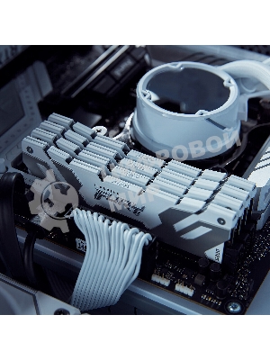 Оперативная память Kingston Fury Renegade, DDR5, 32Gb (1x32Gb), 6400MHz, CL32, DIMM, радиатор, белый