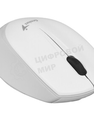 Мышь беспроводная Genius NX-7009 белый/серый, 1200 dpi, радиоканал, USB, кнопки - 3