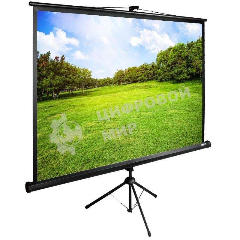 Экран Cactus 150x200 см TriExpert CS-PSTE-200х150-BK 4:3 напольный рулонный
