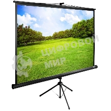 Экран Cactus 150x200 см TriExpert CS-PSTE-200х150-BK 4:3 напольный рулонный
