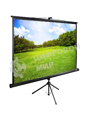 Экран Cactus 150x200 см TriExpert CS-PSTE-200х150-BK 4:3 напольный рулонный