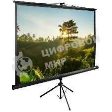 Экран Cactus 200x200 см TriExpert CS-PSTE-200х200-BK 1:1 напольный рулонный