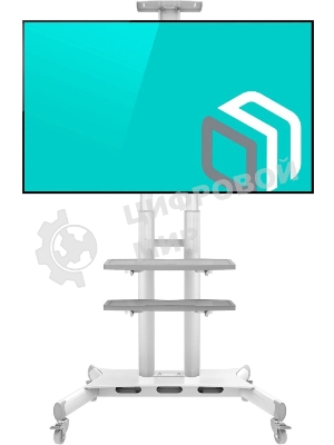 Стойка для телевизора с кронштейном ONKRON TS1881 50