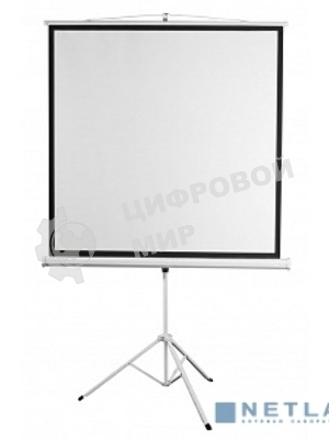 Экран 200x200см Digis Kontur-D DSKD-1106 1:1 напольный рулонный