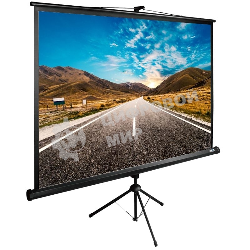 Экран Cactus 160x160 см TriExpert CS-PSTE-160x160-BK 1:1 напольный рулонный