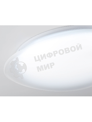 Потолочный светодиодный светильник Ambrella light FZ1605 FR матовый IP20 60W 5000K 510*100 (Без ПДУ)