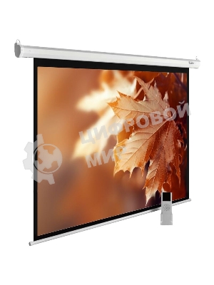 Экран Cactus 188x300 см MotoExpert CS-PSME-300x188-WT 16:10 настенно-потолочный рулонный белый (моторизованный привод)