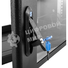 Шкаф коммутационный ЦМО (ШРН-9.650-9005) настенный 9U 600x658мм пер.дв.стекл 200кг черный 600мм 180град.