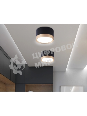 Светильник Ambrella light TN52359 BK/GD черный/золото GX53 max 12W D82*50