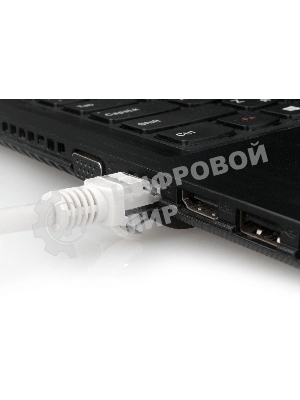 Патч-корд Premier PP31-20M-LSZH 1 Гбит/с UTP 4 пары cat.5e CCA molded 20м серый RJ-45 (m)-RJ-45 (m)