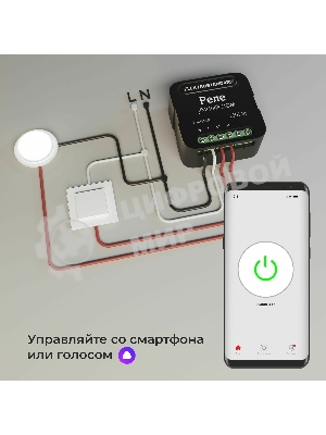 76006/00 реле Умный дом черный 1 канал 2300W