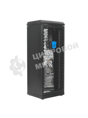 Шкаф сувенирный ЦМО ШТК-СП-С-8.1.1-9005, серверный