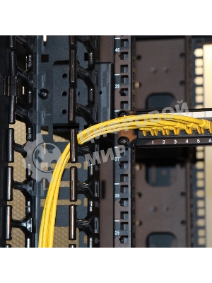 Вертикальные органайзеры с пластиковыми пальцами 149 мм, 42U, для шкафов Business шириной 800 мм, 2 шт., черные