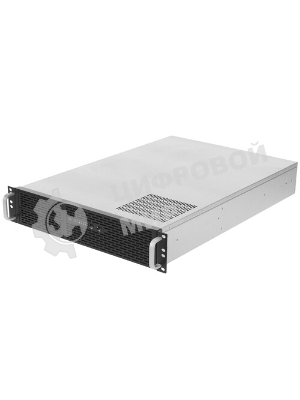 Серверная платформа ExeGate EX293875RUS Pro 2U650-06/2U2098L (RM 19