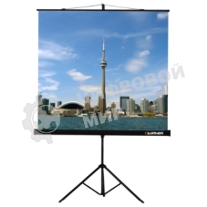 Экран на штативе Lumien Eco View 115x200см (раб.область109х194 см) (88