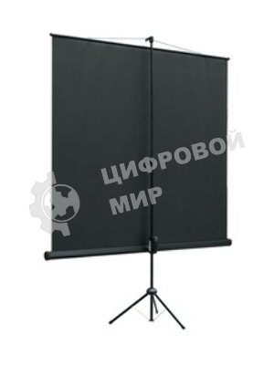 Экран на штативе Lumien Eco View 115x200см (раб.область109х194 см) (88