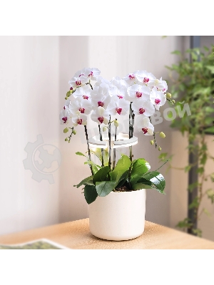 Светильник фито Cactus GARDEN светод. 7.5Вт цв.св.:белый (CS-LED-ORCHID)