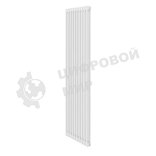 Дизайн-радиатор Royal Thermo Insignia C2180 - 10 секц. RAL9016