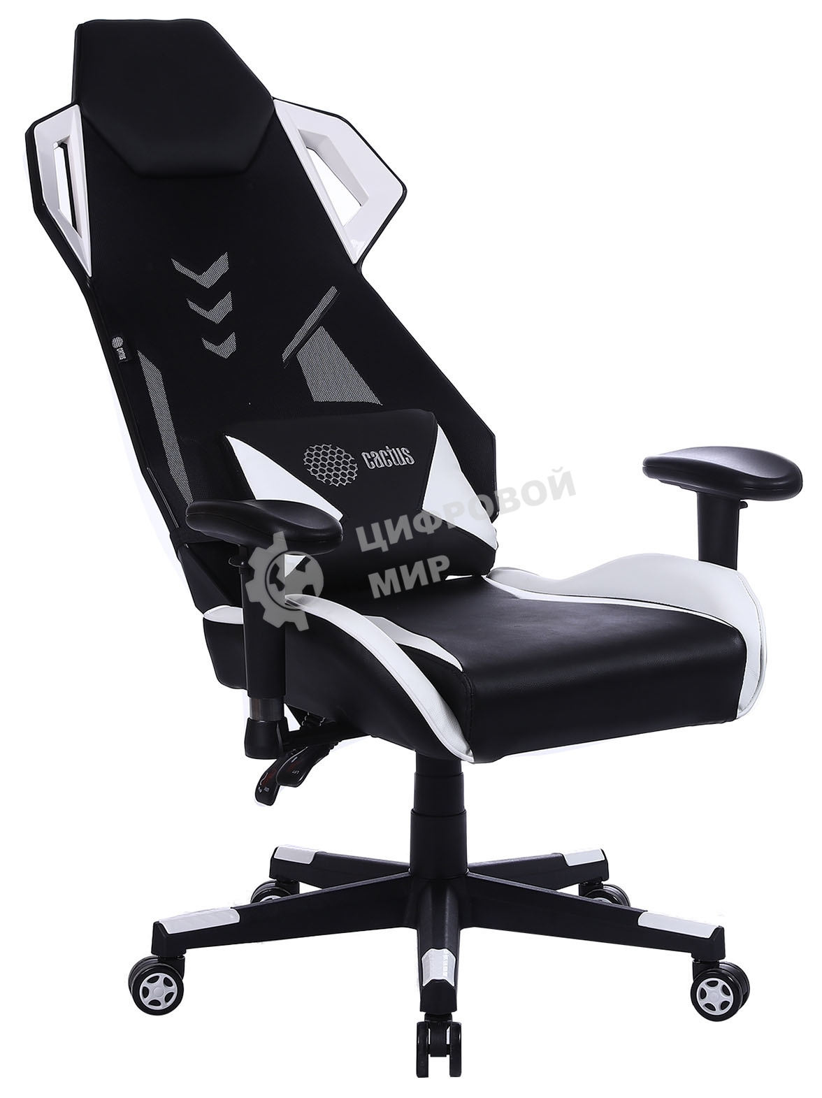 Кресло игровое Cactus CS-CHR-090BLW черный/белый, сиденье черный/белый, эко.кожа, крестовина пластик, пластик черный/белый