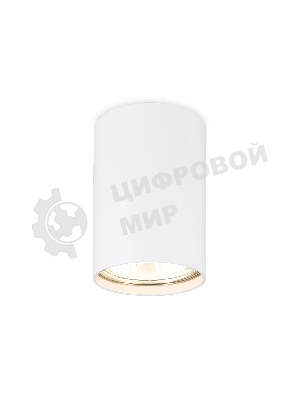 Светильник Ambrella light TN213101 WH белый GU5.3 D55*80