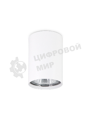 Светильник Ambrella light TN213101 WH белый GU5.3 D55*80