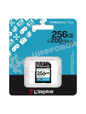 Флеш карта SDXC 256Gb Kingston SDG4/256Gb Canvas Go! Plus V30