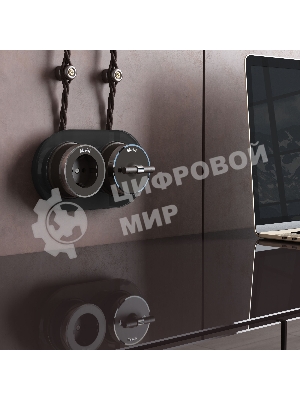 Переключатель одноклавишный Werkel Vintage (мокко матовый/хром) W5812052