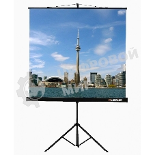 Экраны LUMIEN Lumien Экран на треноге 180x180 см Eco View LEV-100102 1:1 с возможностью настенного крепления