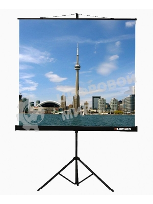 Экраны LUMIEN Lumien Экран на треноге 180x180 см Eco View LEV-100102 1:1 с возможностью настенного крепления