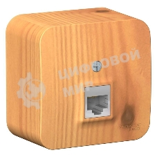 Розетка компьютерная 1-м ОП Blanca RJ45 кат.5e изол. пласт. ясень SchE BLNIA045005