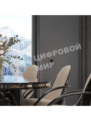 Рамка на 1 пост Slab (серебро софт) W0012965