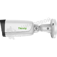 Камера видеонаблюдения IP Tiandy Lite TC-C35US I8/A/E/Y/M/C/H/2.7-13.5/V4.0 2.7-13.5мм (TC-C35US I8/A/E/Y/M/C/H/V4.0)