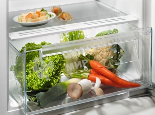 Встраиваемый холодильник Electrolux LRB3AE12S, механическое управление, полезный объем: 208 л, перенавешиваемые двери, 54.8x54.9x121.8 см, белый
